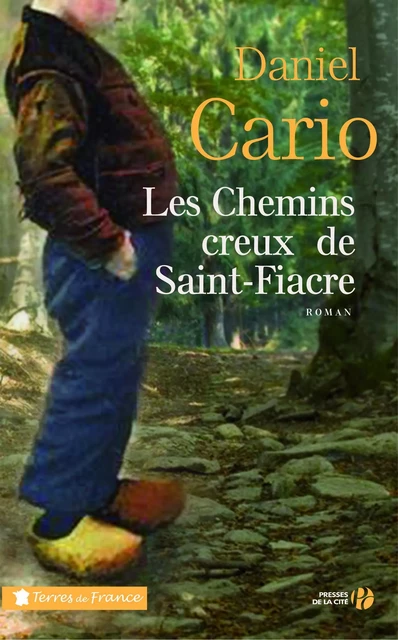 Les chemins creux de Saint-Fiacre - Daniel Cario - Place des éditeurs