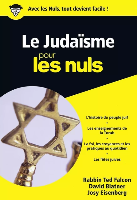 Le Judaïsme Pour les Nuls, édition poche - Ted Falcon, David Blatner - edi8