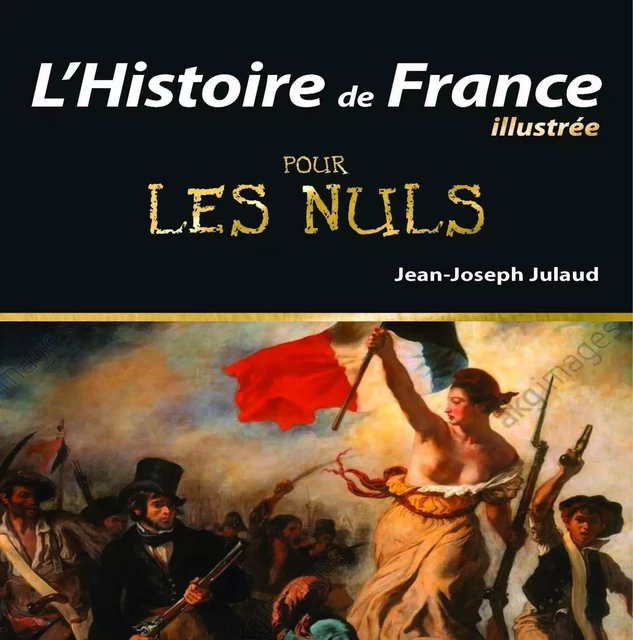 L'Histoire de France Illustrée pour les Nuls, 2ème édition - Jean-Joseph Julaud - edi8