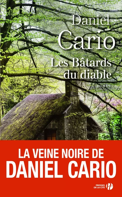 Les Bâtards du diable - Daniel Cario - Place des éditeurs