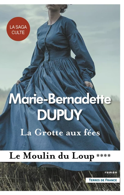 La Grotte aux fées - Le Moulin du Loup, tome 4 - Marie-Bernadette Dupuy - Place des éditeurs