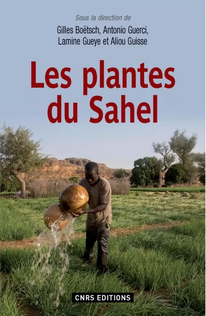 Les Plantes du Sahel. Plantes alimentaires, médicinales et cosmétiques - Gilles Boetsch - CNRS editions