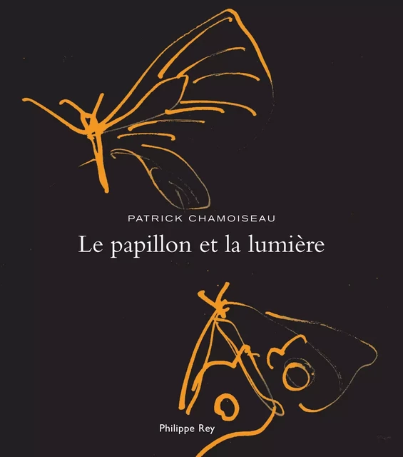 Le Papillon et la lumière - Patrick Chamoiseau - Philippe Rey