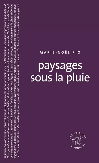 Paysages sous la pluie -  - Les editions du sonneur