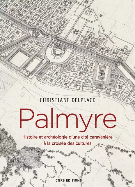 Palmyre. Histoire et archéologie d'une cité caravanière à la croisée des cultures - Christiane Delplace - CNRS editions