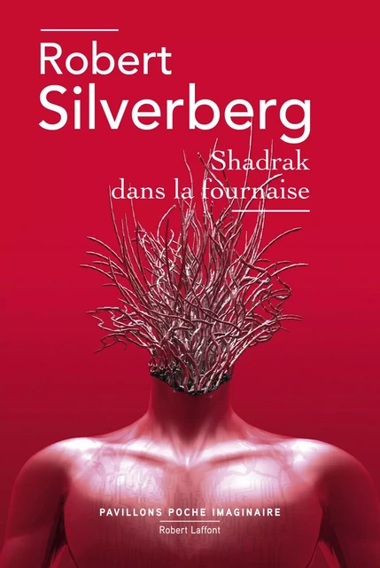 Shadrak dans la fournaise - Robert Silverberg - Groupe Robert Laffont