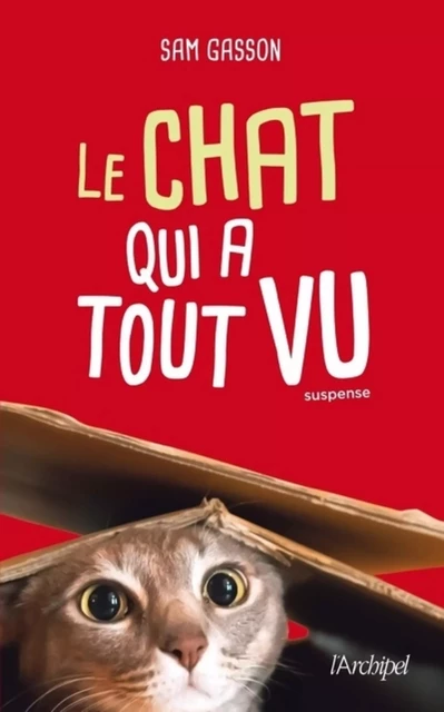 Le chat qui a tout vu - Sam Gasson - L'Archipel