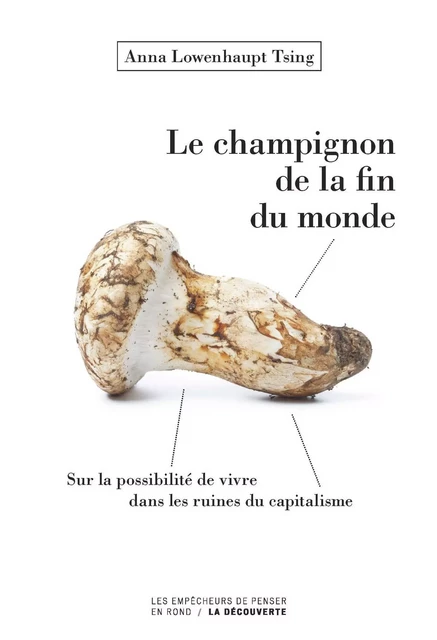 Le champignon de la fin du monde - Anna Lowenhaupt Tsing - La Découverte