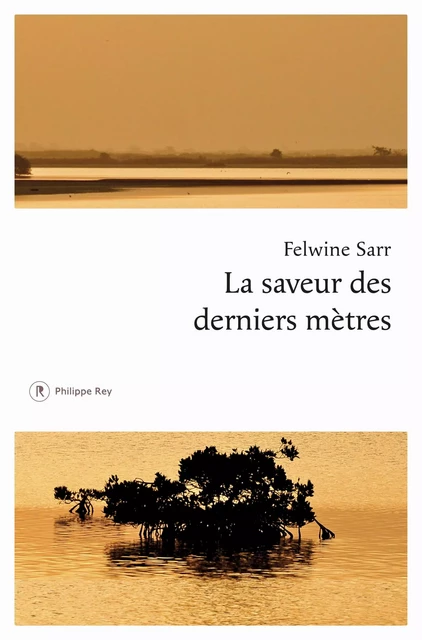 La saveur des derniers mètres - Felwine Sarr - Philippe Rey