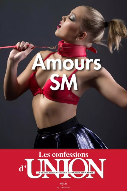 Les Confessions d'UNION - amours SM -  Collectif - Groupe CB