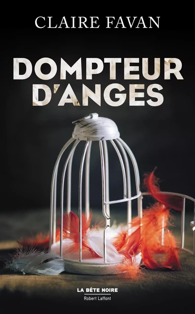 Dompteur d'anges - Claire Favan - Groupe Robert Laffont