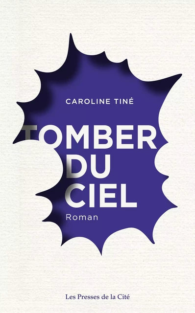 Tomber du ciel - Caroline Tine - Place des éditeurs