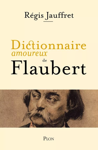 Dictionnaire amoureux de Flaubert - Régis Jauffret - Place des éditeurs