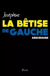 La bêtise de gauche