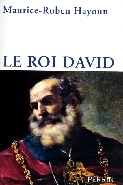 Le Roi David - Maurice-Ruben Hayoun - Place des éditeurs