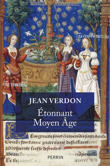 Etonnant Moyen-Age - Jean Verdon - Place des éditeurs