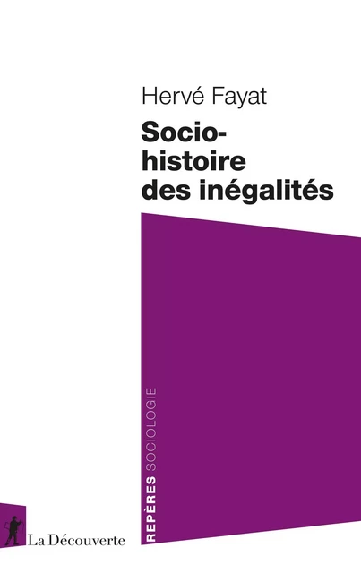 Socio-histoire des inégalités - Hervé Fayat - La Découverte