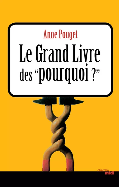 Le Grand Livre des pourquoi - Anne Pouget - Cherche Midi