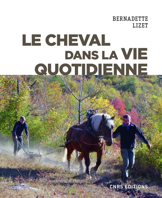 Le cheval dans la vie quotidienne - Bernadette Lizet - CNRS editions