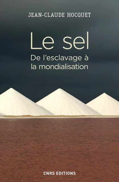 Le sel. De l'esclavage à la mondialisation - Jean-Claude Hocquet - CNRS editions