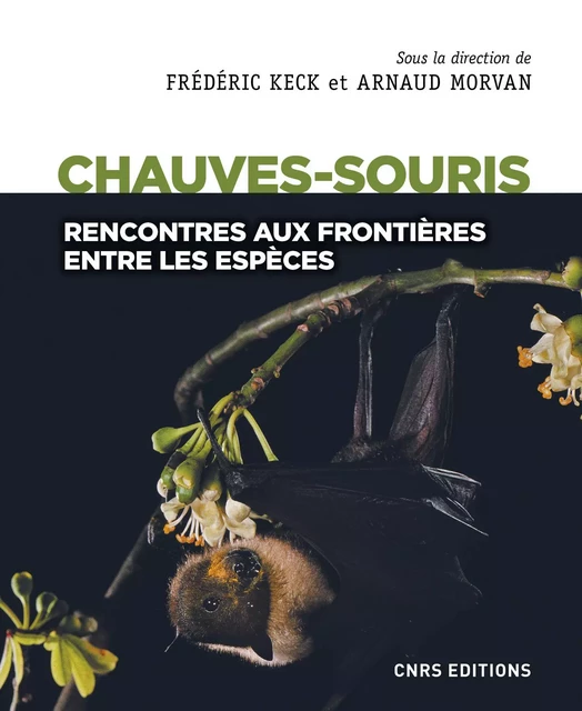 Chauves-souris - Rencontres aux frontières entre les espèces - Frédéric Keck, Arnaud Morvan - CNRS editions