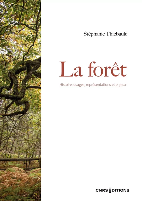 La forêt - Histoire, usages, représentations et enjeux - Stéphanie Thiébault - CNRS editions