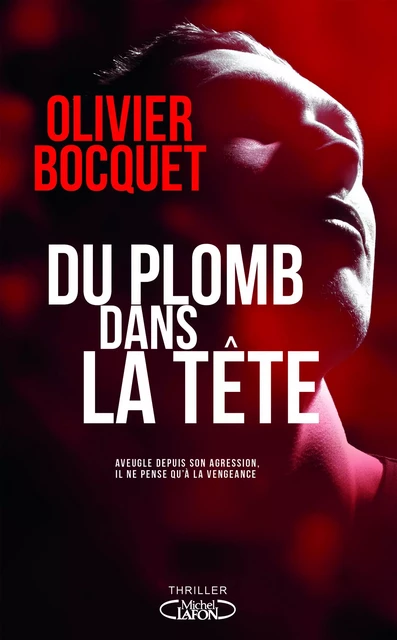 Du plomb dans la tête - Olivier BOCQUET - Michel Lafon