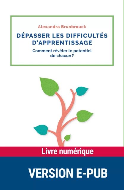 Dépasser les difficultés d'apprentissage - Alexandra Brunbrouck - Retz