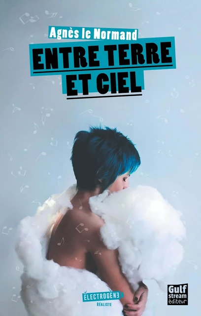 Entre terre et ciel - Agnès Le Normand - Gulf stream Editeur