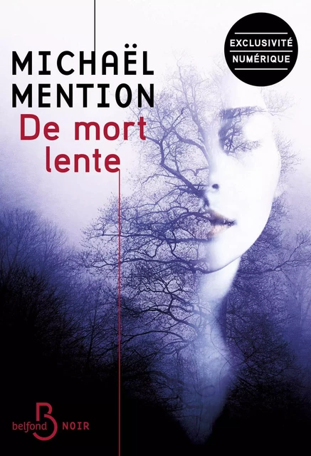 De mort lente - Michaël Mention - Place des éditeurs