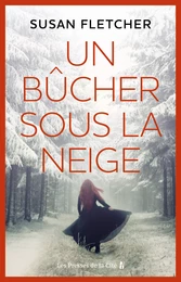 Un bûcher sous la neige