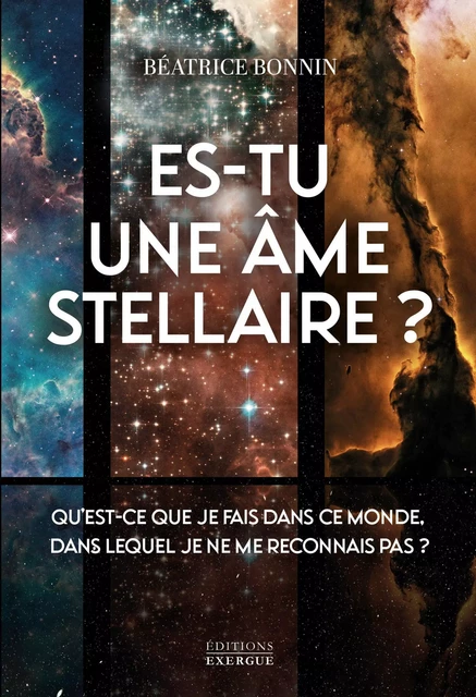 Es-tu une âme stellaire? - Qu'est-ce que je fais dans ce monde, dans lequel je ne me reconnais pas ? - Béatrice Bonnin - Courrier du livre