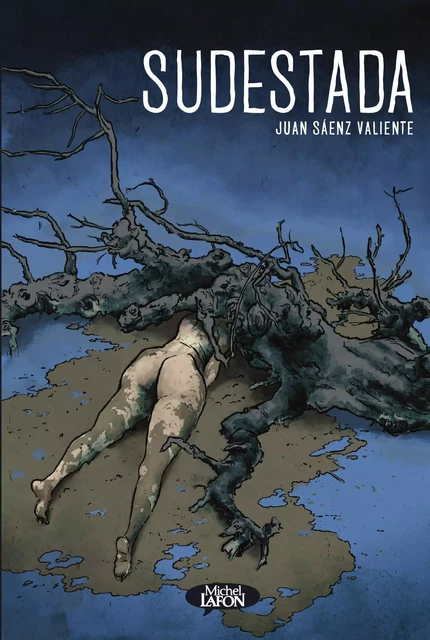 Sudestada - Juan Saenz Valiente - Michel Lafon