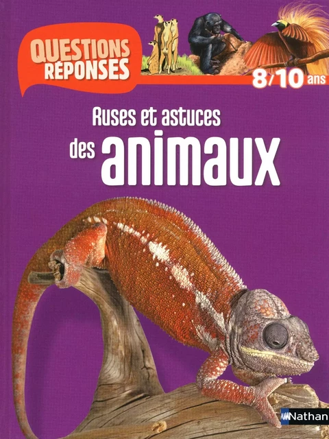 Ruses et astuces des animaux - Questions/Réponses - doc dès 10 ans - Emmanuelle Ousset - Nathan