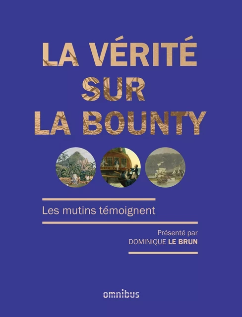 La Vérité sur la Bounty - Année de la mer 2024-2025 - Dominique le Brun - Place des éditeurs