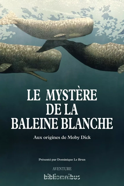 Le mystère de la baleine blanche - Owen Chase, Thomas Nickerson, Herman Melville - Place des éditeurs