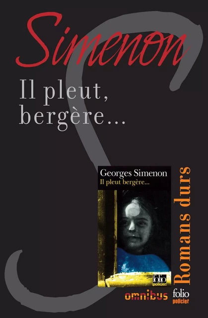 Il pleut, bergère... - Georges Simenon - Place des éditeurs