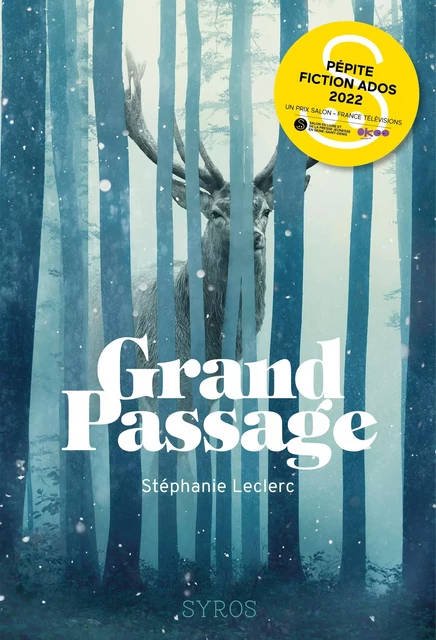 Grand-Passage - Stéphanie Leclerc - Nathan