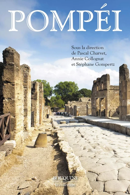 Pompei - Pascal Charvet, Stéphane Gompertz, Annie Collognat - Groupe Robert Laffont