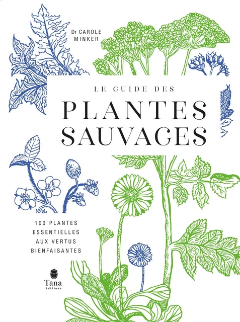 Le guide des plantes sauvages. 100 plantes essentielles aux vertus bienfaisantes - Identification, cueillette, préparation, conservation, propriétés thérapeutiques, cuisine, cosmétiques - Carole Minker - edi8