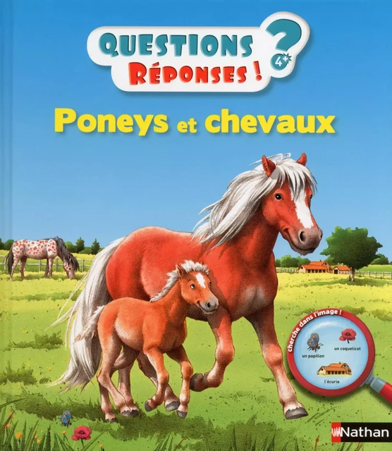 Poneys et chevaux - Questions/Réponses - doc dès 5 ans - Anne-Sophie Baumann - Nathan