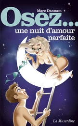 Osez une nuit d'amour parfaite