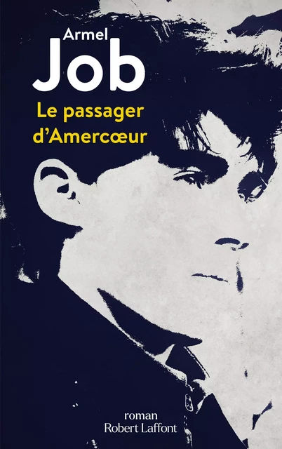 Le Passager d'Amercœur - Armel Job - Groupe Robert Laffont