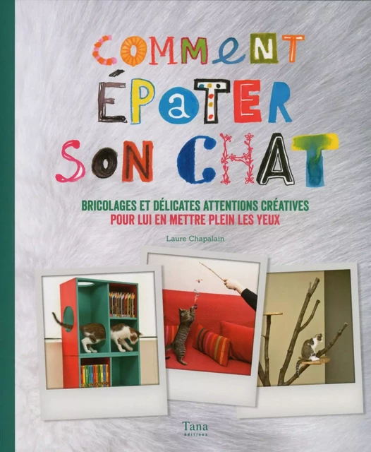 Comment épater son chat - Raphaële Vidaling - edi8