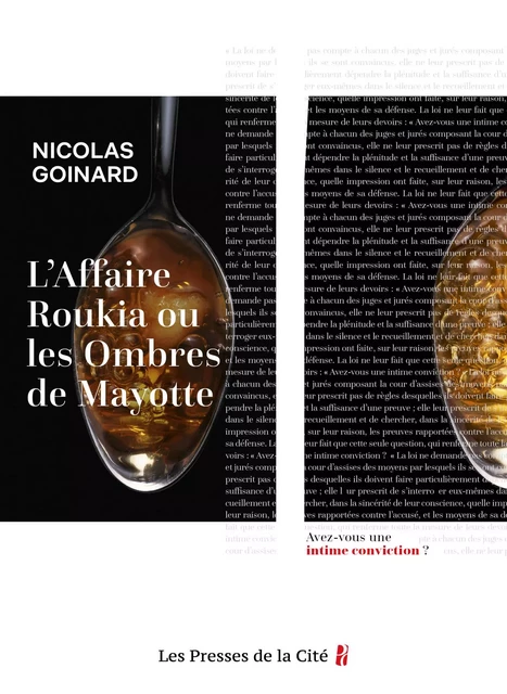 L'Affaire Roukia ou les Ombres de Mayotte - Nicolas Goinard - Place des éditeurs