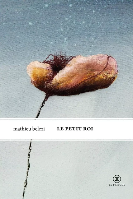 Le Petit Roi - Mathieu Belezi - Le tripode