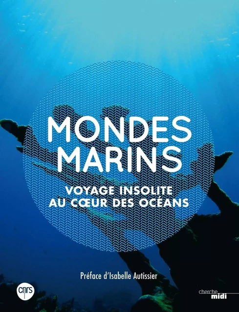 Mondes marins - Bruno David, Catherine Ozouf - Cherche Midi