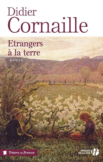 Etrangers à la terre - Didier Cornaille - Place des éditeurs