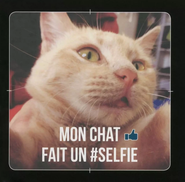 Mon chat fait un selfie ! - Charlie Ellis - edi8