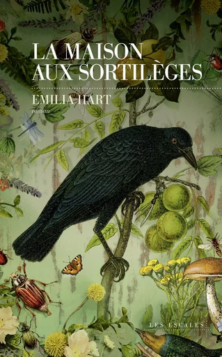 La Maison aux sortilèges - Emilia Hart - edi8